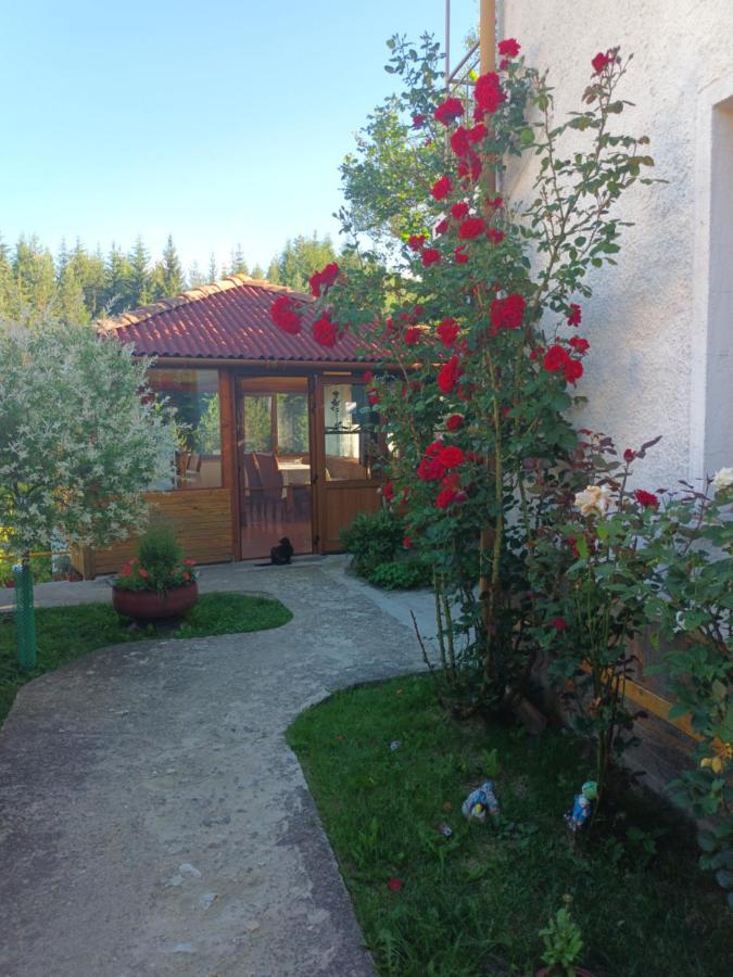 Guest House Stoletnika Jagodina Kültér fotó