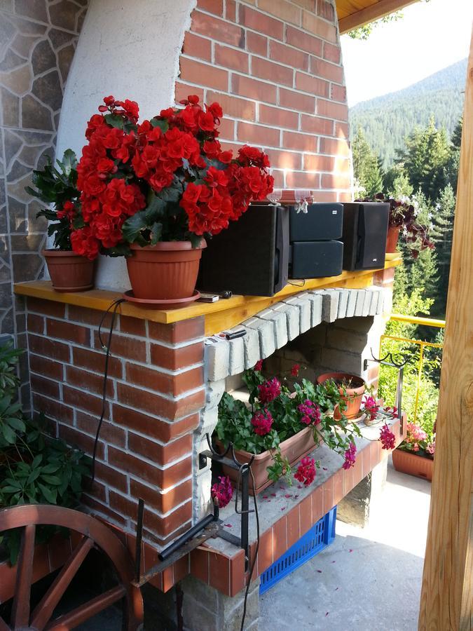 Guest House Stoletnika Jagodina Kültér fotó